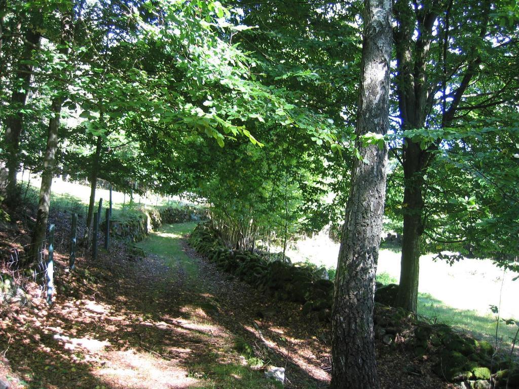 Almagården lantlig miljö Villa Svängsta Rum bild