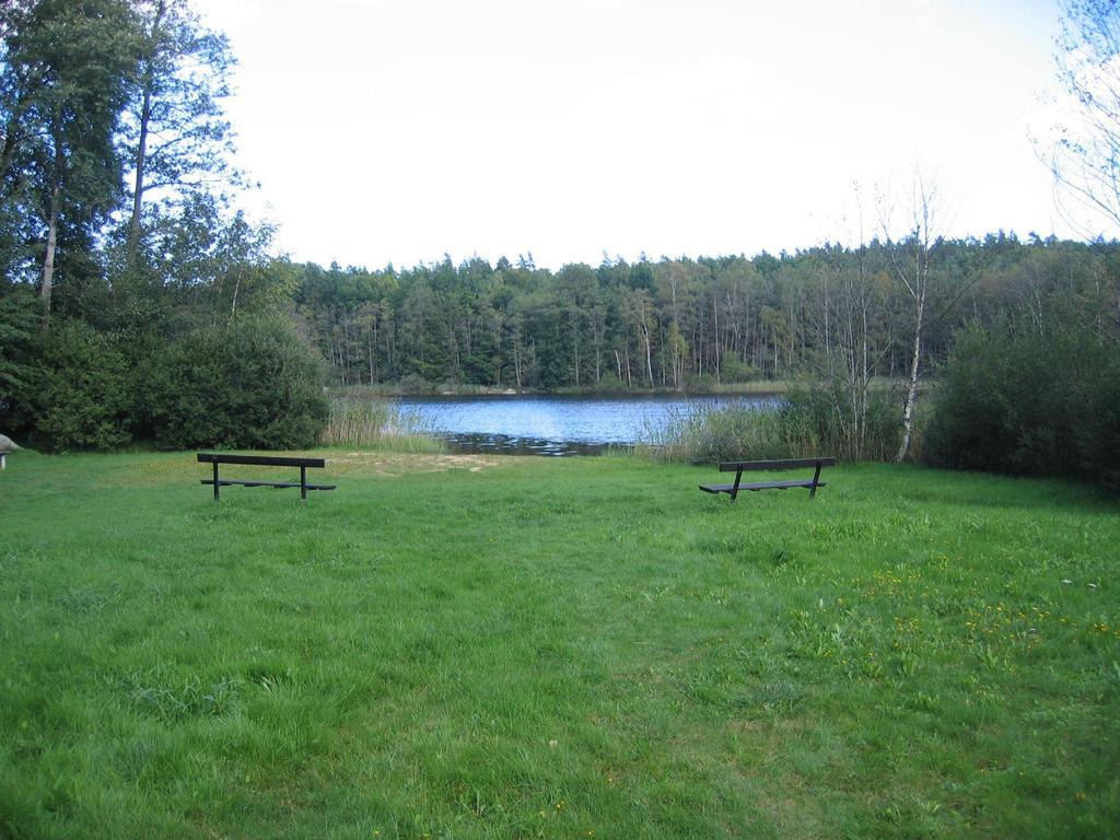 Almagården lantlig miljö Villa Svängsta Rum bild
